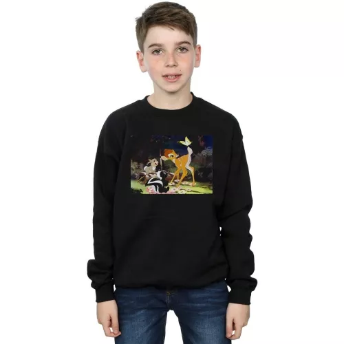 Disney  BI12961  Sweatshirts (garcons)