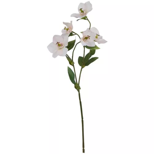 Hill Interiors  HI4835  Plantes artificielles ()