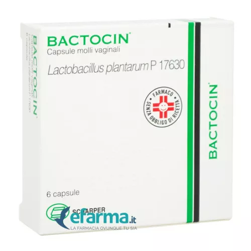 Bactocin Capsule 3 gr Lactobacillus plantarum 6 Capsule Vaginali