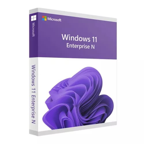 Windows 11 Enterprise N