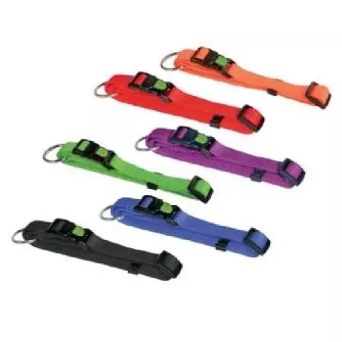 LEOPET COLLARE MIAMI IN NYLON 45-65 CM. x 25 MM. ARANCIO