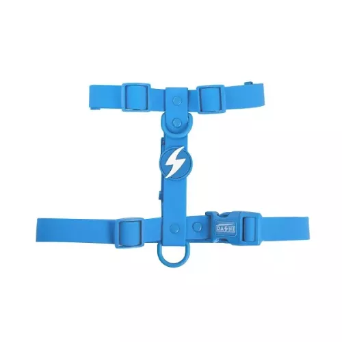DASHI PETTORINA COLORFLEX BLUE BACK HARNESS TG. SMALL
