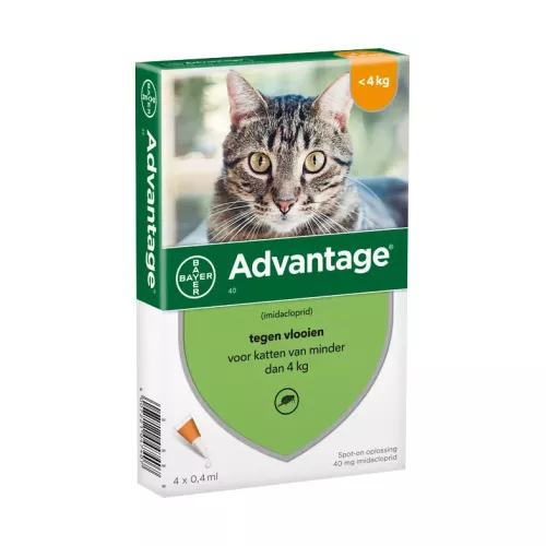 2 x 4 Pipetten AdvantageÂ® 40 voor katten van minder dan 4 kg - Dubbelpak -NL