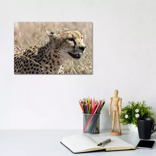 Just Running by Anders Jorulf - Wrapped Canvas Gallery-Wrapped Canvas GiclÃ©e