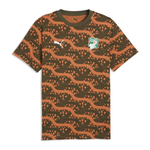 PUMA Ivory Coast ftblCulture Printed T-Shirt Men in Green | Size Small