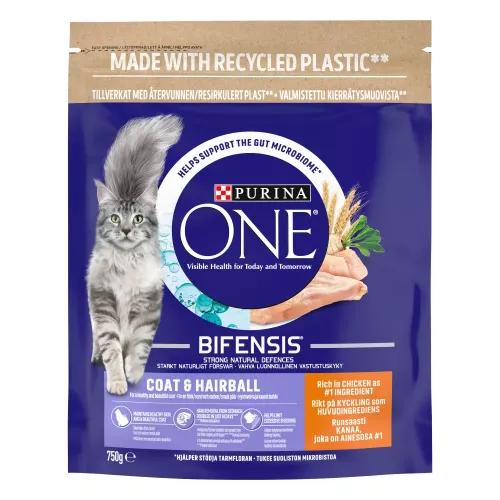 750g Coat & Hairball Chicken Purina ONE Dry Cat Food