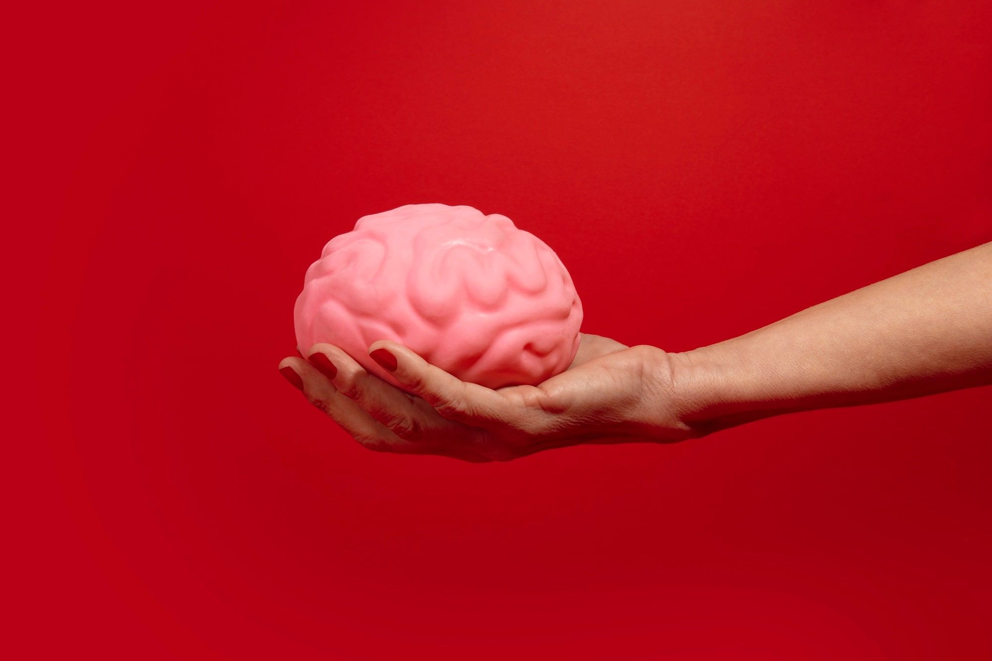Is the brain a muscle?