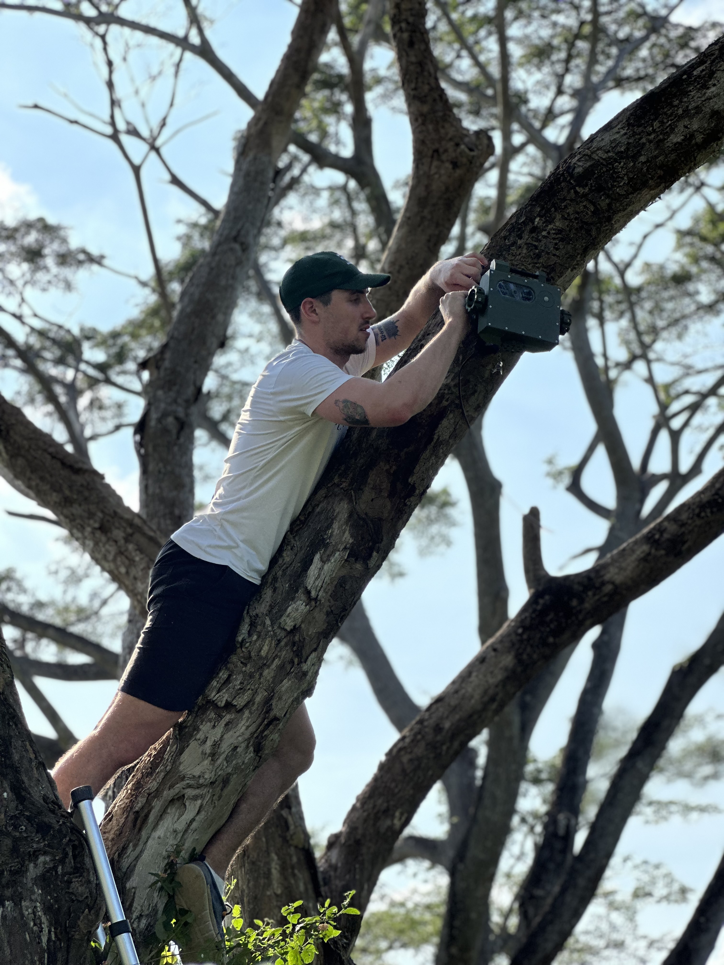 Tree Hopper