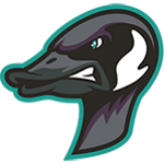 Rochester Honkers