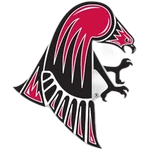 Wisconsin-River Falls Falcons