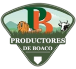 Escudo do Boaco