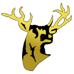 SSCR Stags