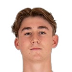 Truls Linke