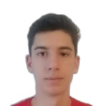 Zdjęcie Emin Saric