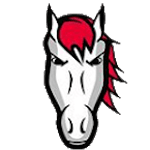 Leicester Riders