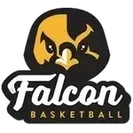Escudo do Falcon U15
