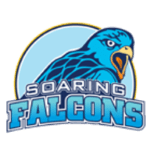 Stemma di Adamson Falcons