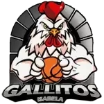 Escudo do Gallitos de Isabela