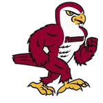 Friends Falcons