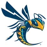 Cedarville Yellow Jackets