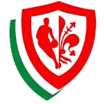 Pino Dragons Firenze