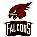 Simmons College (KY) Falcons