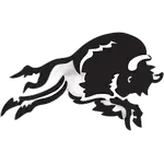 Salish Kootenai College Bison