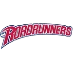 Metro State Roadrunners