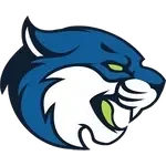 Bryant & Stratton-Albany Bobcats