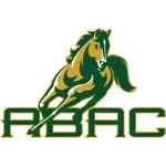 Abac Golden Stallions