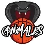 Shield of Animales Warsaw U17
