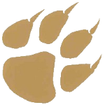 Stillman Tigers