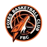 Escudo do Foxes Divas