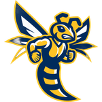 Emory & Henry Wasps