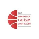Shield of Pamukspor Gelisim U17