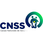 Stemma di C.N.S.S.