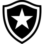 Escudo do Botafogo +40
