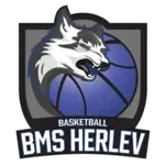 BMS Herlev U13