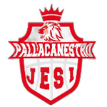 Pallacanestro Jesi