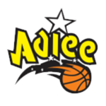 Shield of ADIEE/Avaí/FME