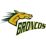 Suny Delhi Broncos