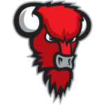Escudo do Bisons Loimaa