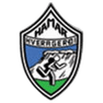 Escudo do Hamar Thor