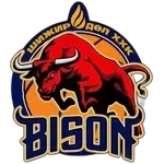 Escudo do Nalaikh Bison