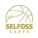 Escudo do Selfoss