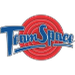 Escudo do Team Space