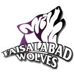 Escudo do Faisalabad
