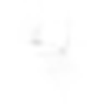 Escudo do VOID