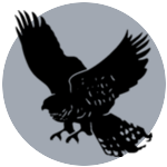 Escudo de Alter Iron Club