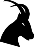 regain